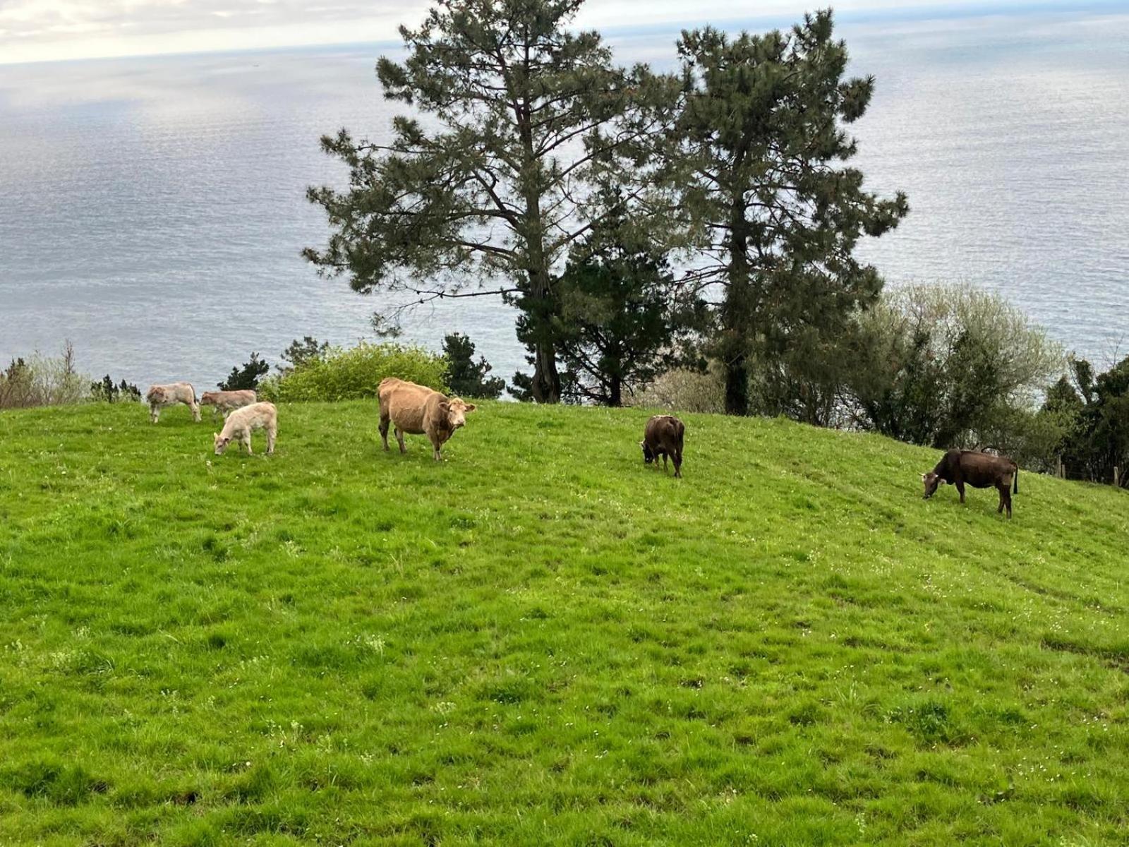 Agroturismo Itxaspe Orio Exteriér fotografie