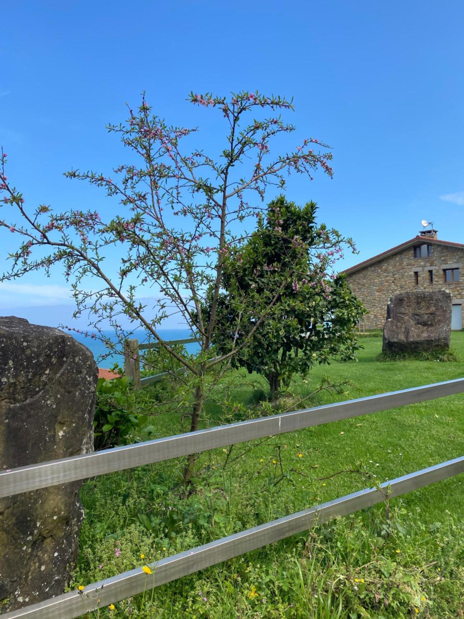 Agroturismo Itxaspe Orio Exteriér fotografie